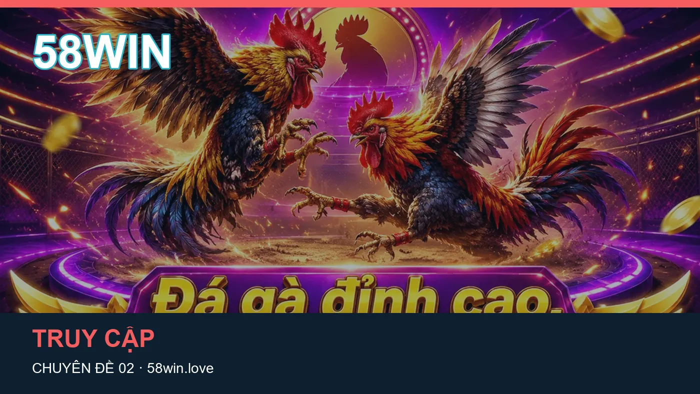 Tổng quan: những thuật ngữ cần hiểu khi tra cứu 58WIN