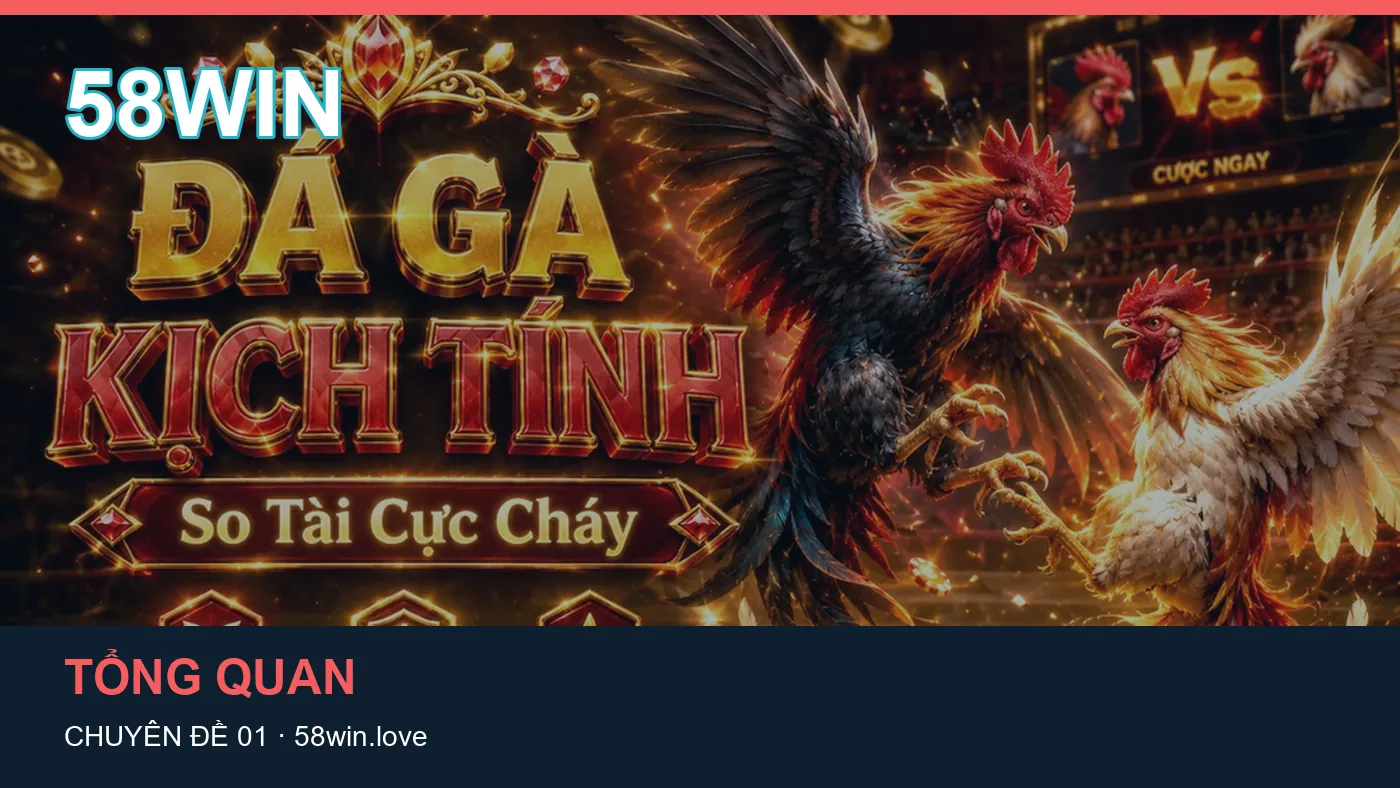 Đối chiếu nguồn và thời điểm cập nhật trong Tài khoản của 58WIN